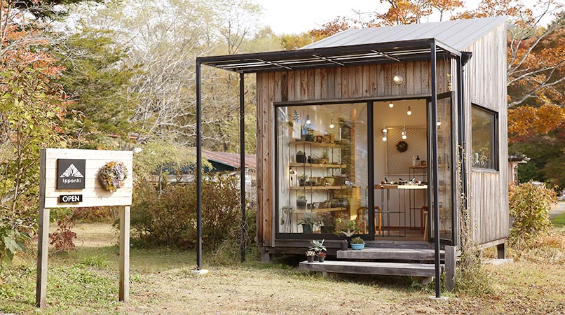 ☆多肉植物 寄せ植え〜木製HOUSE 大 多肉動物園〜☆ 森のよう