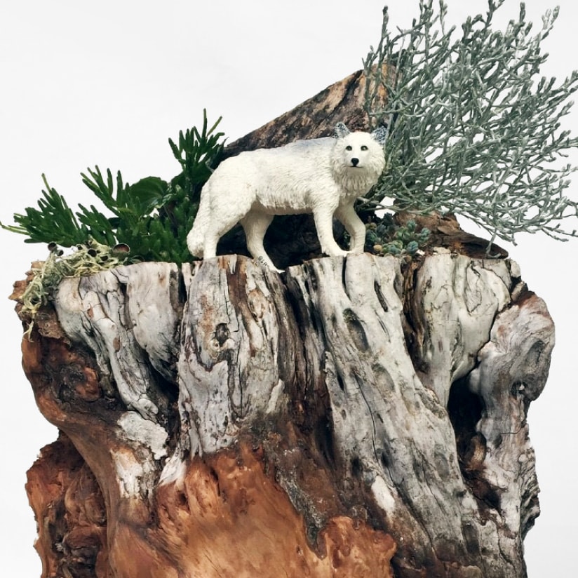 多肉植物の寄せ植えとフィギュアで作るジオラマアレンジの世界