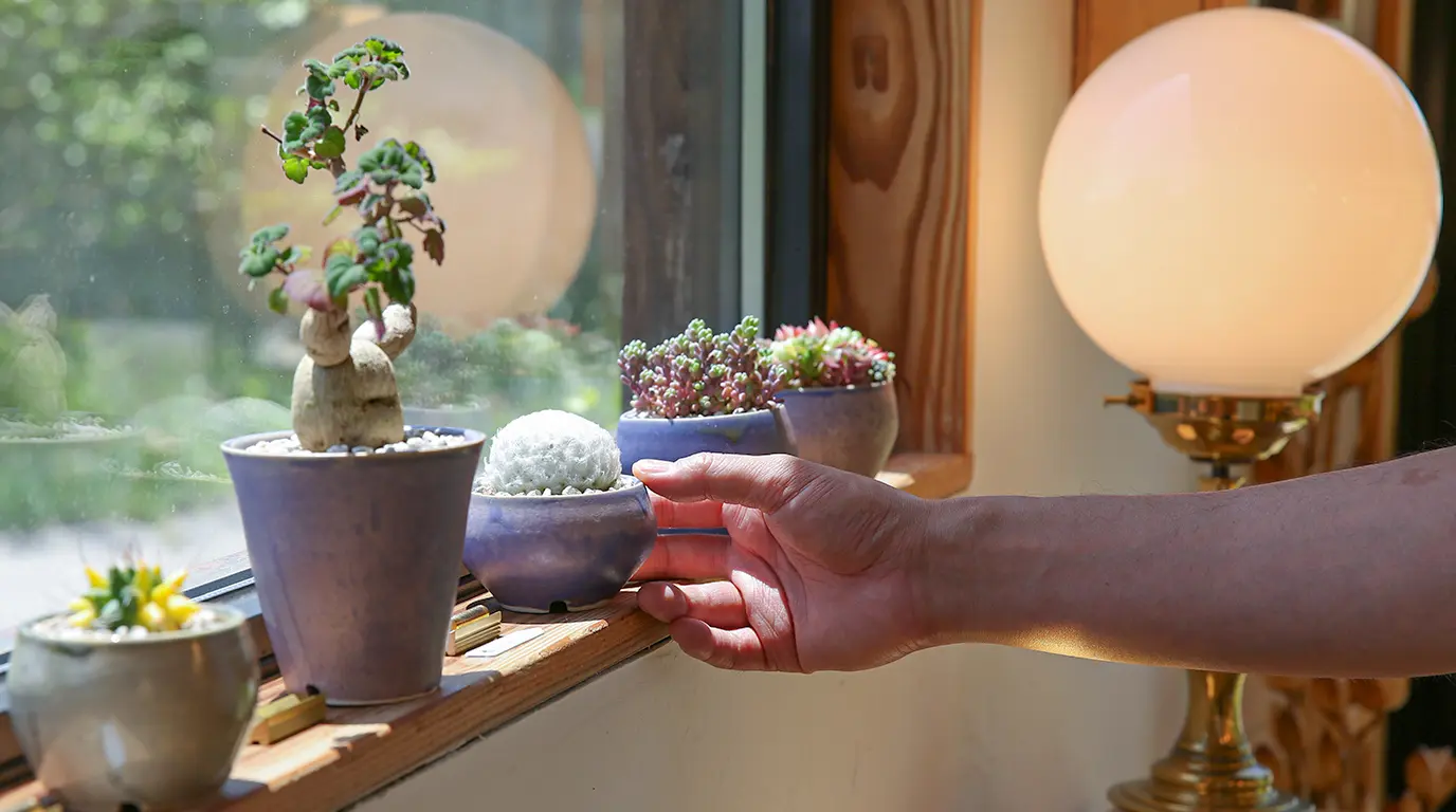 梨園のお持ち物 能面に寿 柘植の帯留 完全一点物 特注品