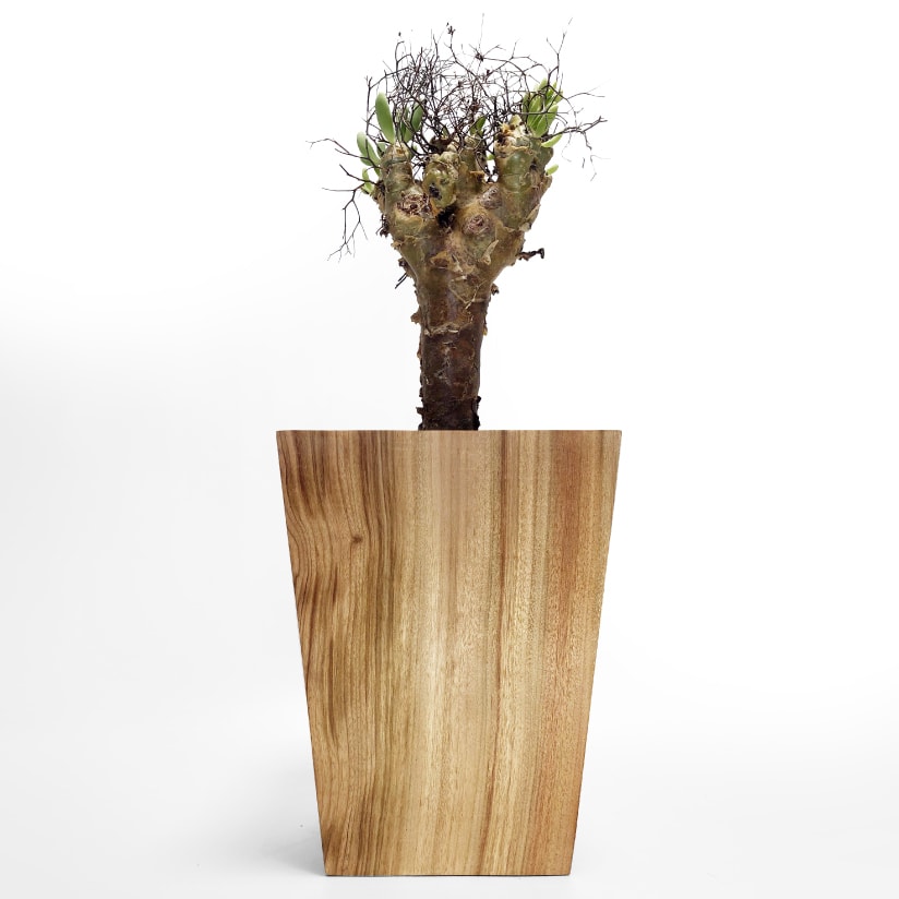 木製の鉢カバー