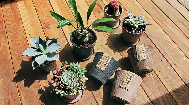 ブラクト エコポット｜多肉植物の鉢