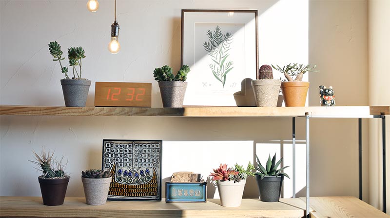 リサイクル プラントポット｜多肉植物の鉢